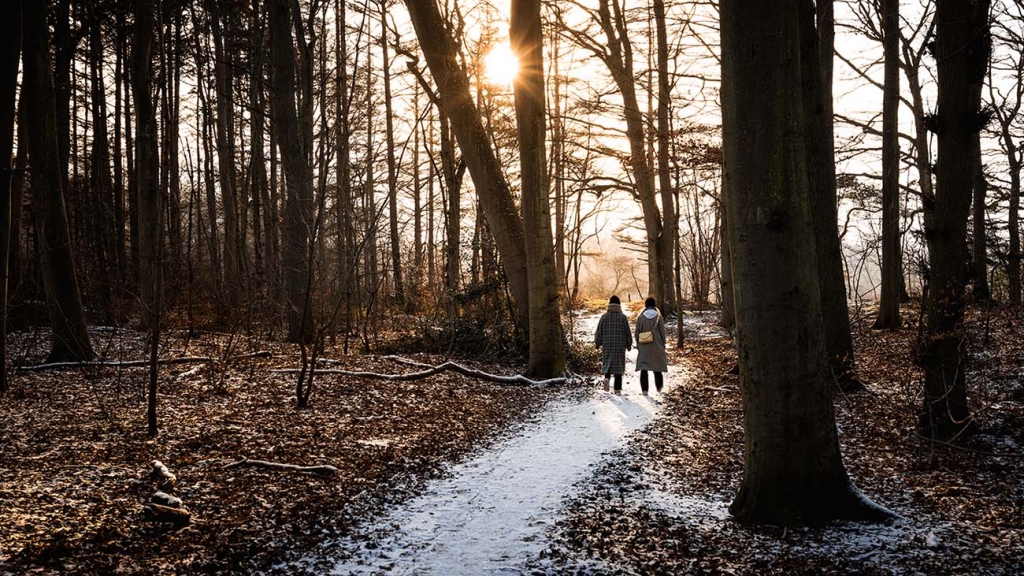 To personer går tur i snedækket skov